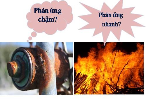 Tốc độ phản ứng là gì: Tìm hiểu sâu về ảnh hưởng và ứng dụng